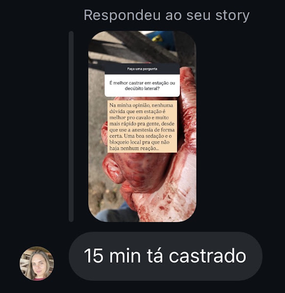 Print de resposta a story sobre castração em estação: 15 min tá castrado