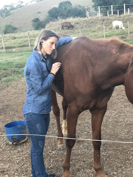 Joana Beling, médica-veterinária especialista em clínica equina, auscultando um cavalo