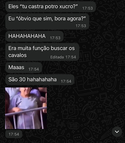 Print de conversa sobre castrar potro xucro
