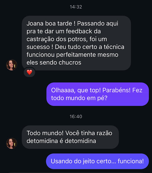 Print de conversa: feedback da castração dos potros, a técnica funcionou mesmo eles sendo chucros